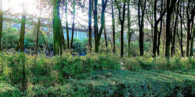 微信图片_20191231130535_副本